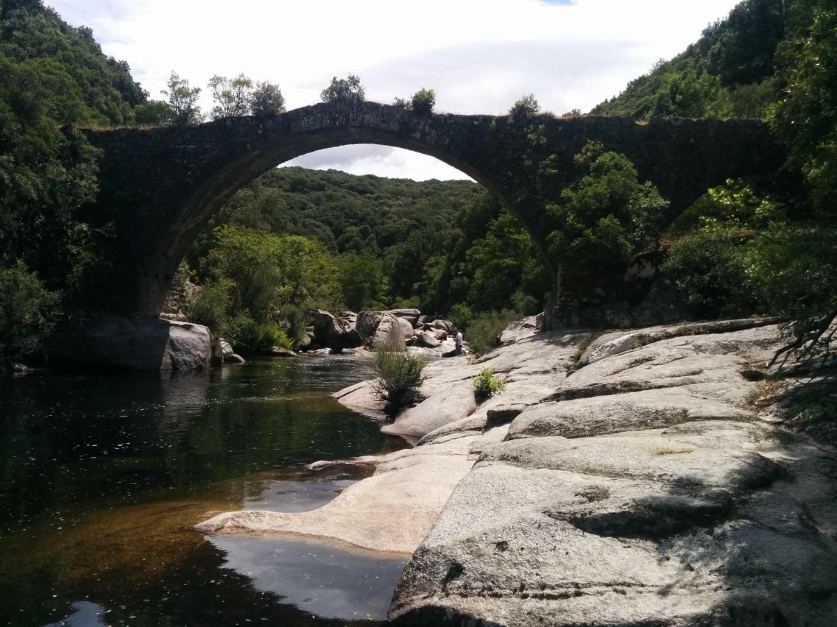 Corsica Monti Gite Appart Petreto-Bicchisano Екстериор снимка