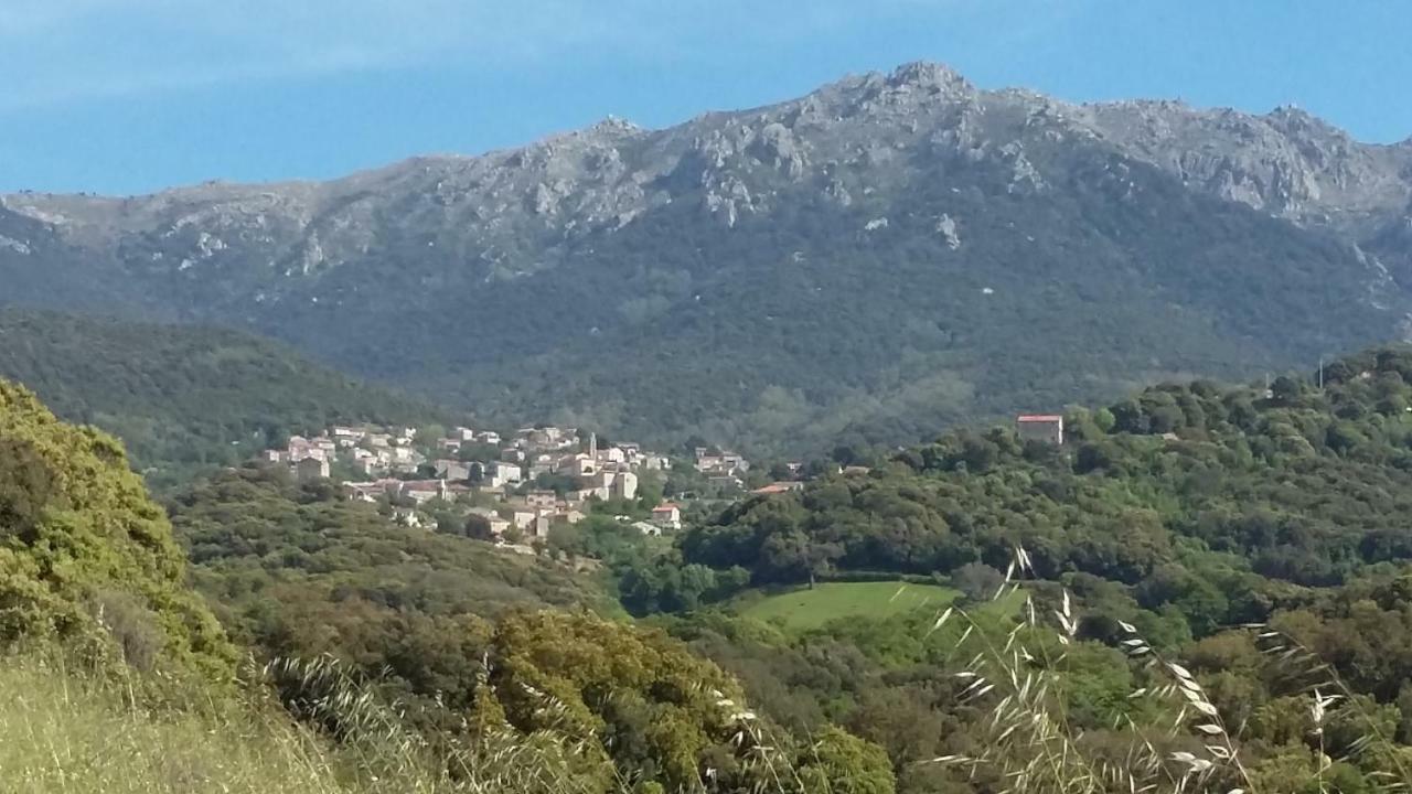 Corsica Monti Gite Appart Petreto-Bicchisano Екстериор снимка